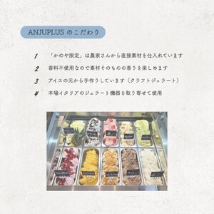 1162-1 ジェラート詰め合わせ16個入り KN053-001-02 アイス アイス詰合せ アイスクリーム ジェラート詰合せ カップ カップアイス チョコアイス バニラアイス スイーツ バニラ チョ