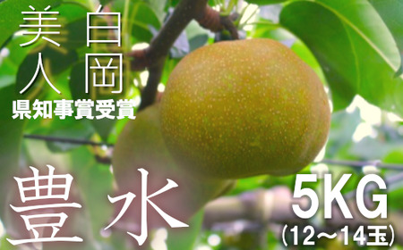 藤井農園の美味しい梨『豊水』約5kg箱入り