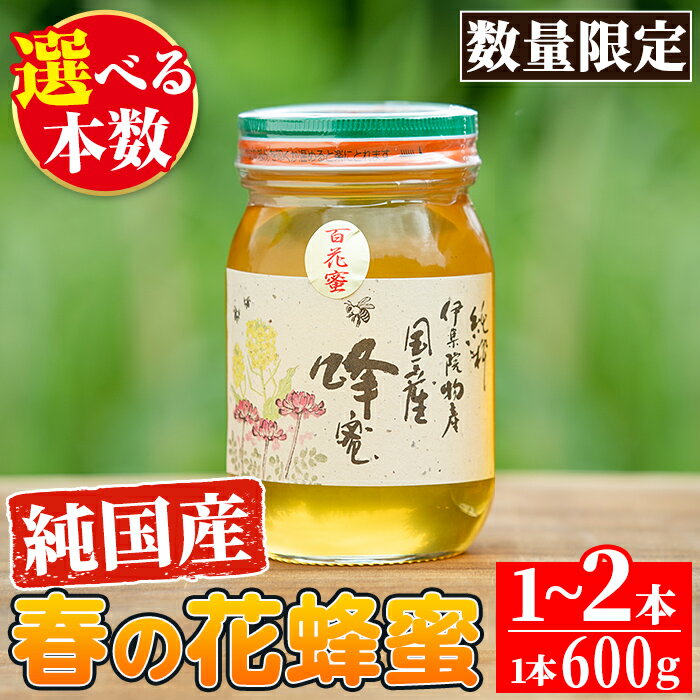 【ふるさと納税】＜本数選べる＞鹿児島春の花の蜂蜜 国産百花蜜(600g×1～2本) 国産 はちみつ ハチミツ 蜂蜜 花はちみつ 花ハチミツ 調味料 セット ギフト 贈答 プレゼント【伊集院物産】