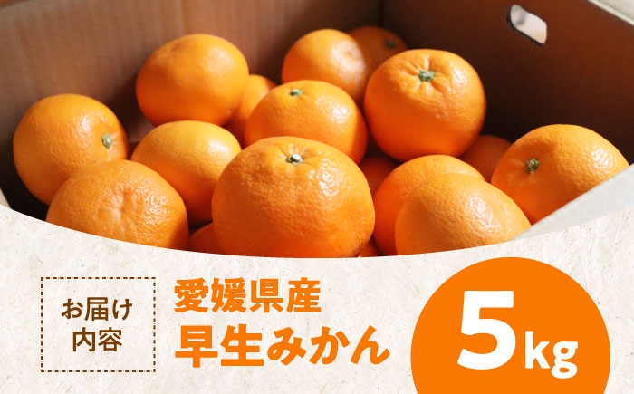 温州みかん（早生）5kg