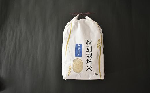 【令和5年産　新米受付開始！】北海道浦河町の特別栽培米「おぼろづき」精米(5kg×1袋)[37-1132]_イメージ4