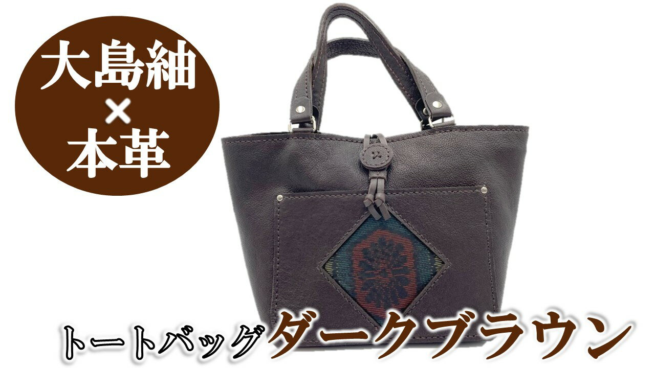 【ふるさと納税】【大島紬×本革】トートバッグ　ダークブラウン　(開け口：紐ボタン掛けタイプ)