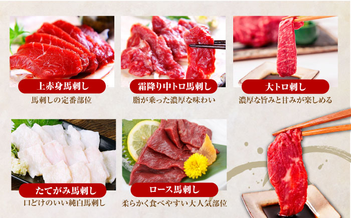 【全12回定期便】熊本県産 馬刺し 計約410g ( 上赤身 霜降り中トロ 大トロ タテガミ ロース ) 専用醤油付 熊本 赤身 霜降り 中トロ ロース刺し 国産 冷凍 馬肉 馬刺 真空 パック 小分