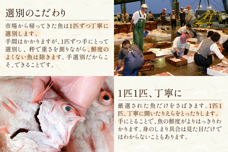 ＜先行予約＞【定期便】旬の厳選干物セット12回コース（特大のどぐろ入）魚本来の旨味に出会う渾身干物 定期便 魚介類 魚貝類 お楽しみ定期便 一夜干し 干物 干もの のどぐろ 【019_1944】