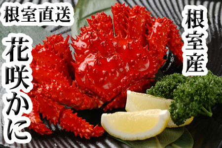 【北海道根室産】花咲かに400g前後～600g前後×2尾 A-30030
