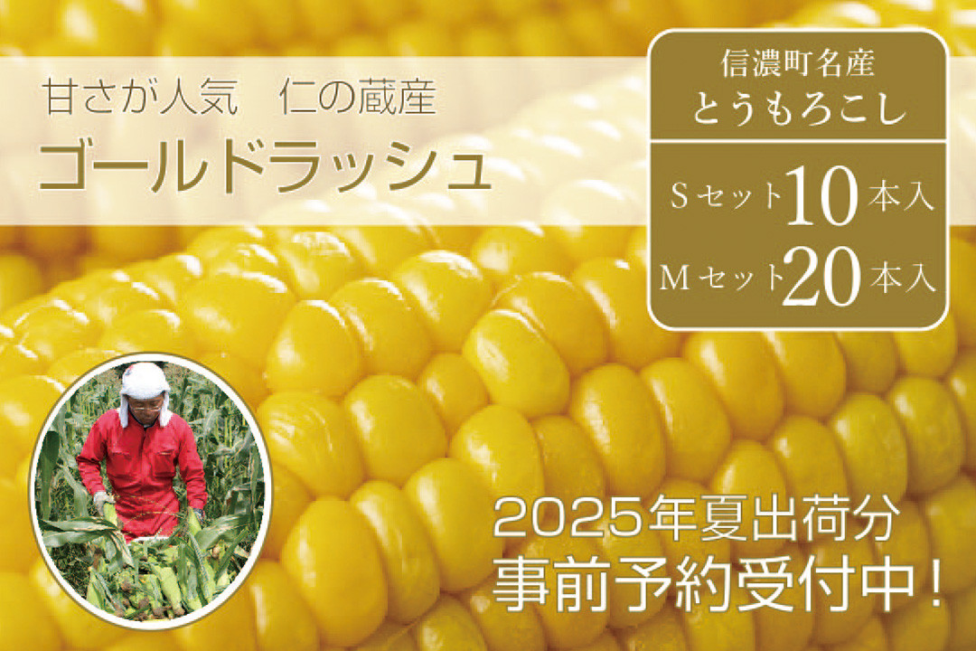 
            仁の蔵『ゴールドラッシュ』10本セット/ 20本セット　2025年夏の予約受付開始！　長野県信濃町産とうもろこし ／スイートコーンの人気品種の予約受付中｜ 令和7年7月下旬～8月下旬随時出荷【長野県信濃町ふるさと納税】
          