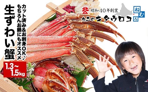 B-25002【年内配送可】 お刺身でも食べられる本ずわいかにしゃぶ詰め合わせ1.3～1.5kg