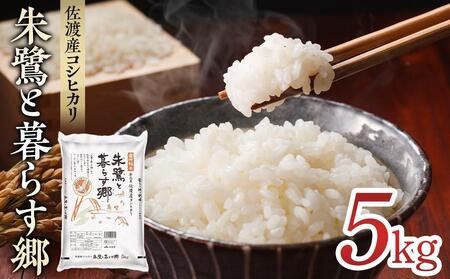 米 朱鷺と暮らす郷 佐渡産 コシヒカリ 5kg 令和6年産 【 米 米 米 米 米 】