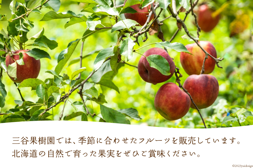 りんごジュース・フルーツジャムセット [三谷果樹園 北海道 砂川市 12260360]_イメージ5