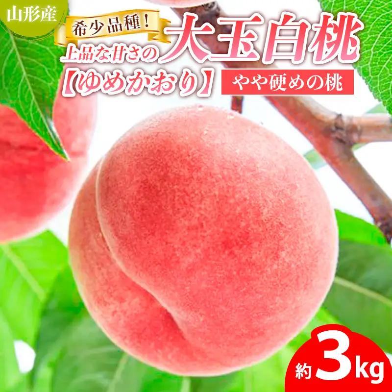 希少品種！！上品な甘さの大玉白桃【ゆめかおり】約3kg [やや硬めの桃] 【令和8年産先行予約】 FS25-650 くだもの 果物 フルーツ 山形 山形県 山形市 2026年産