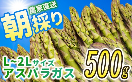 会津産アスパラガス　L〜2Lサイズ　500g　【07208-0838】