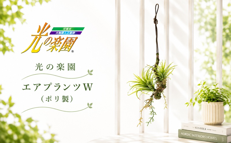 光の楽園　エアプランツW（ポリ製）【配送不可：北海道・沖縄・離島】 雑貨 日用品 植物 造花