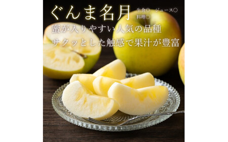【先行受付：2025年11月上旬以降発送】余市産 ぐんま名月 松村農園産のりんご 5kg_Y067-0198