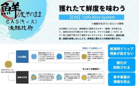 【のし付き】寒シマメ（スルメイカ）肝醤油漬け 80g×5個 全国ご当地どんぶりTOP10 お歳暮にも