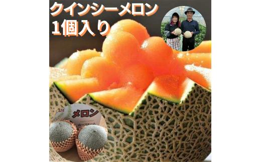 メロン めろん クインシーメロン 1個（大玉1.5kg以上） 山一ファーム おすすめ 人気 国産 赤 茨城 鉾田 フルーツ 旬 プレゼント 贈り物 甘い ヘルシースイーツ 産地直送 農業王国 赤肉 4月下旬～2026年6月中旬発送 送料無料
