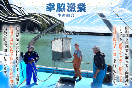 ちりめん 宮崎県産 無添加 ちりめんじゃこ 120g 3p 計360g