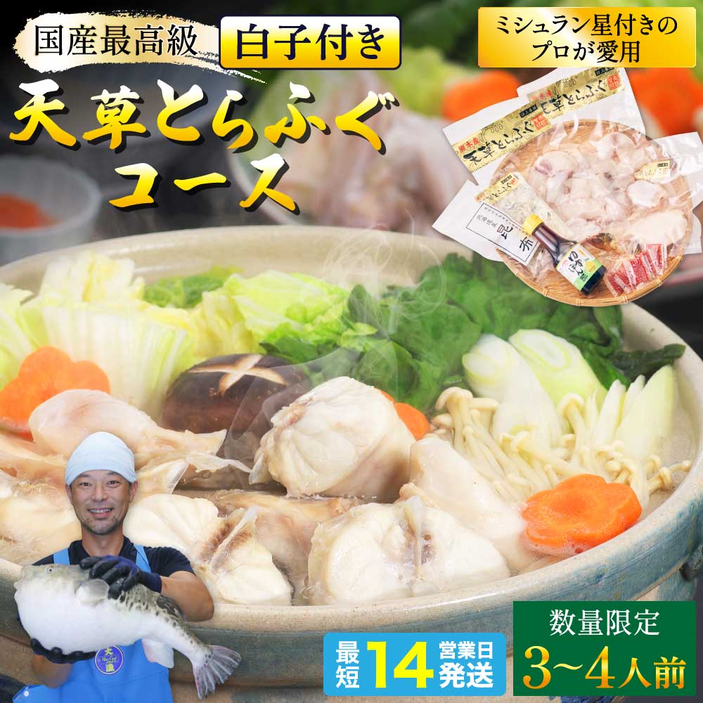 【ふるさと納税】 先行予約 数量限定 白子付 大皿使用 国産 最高級 天草とらふぐコース (3〜4人前) 【2026年12月下旬～2027年3月下旬発送予定】 【熊本地震復興応援】 ふぐ とらふぐ フグ てっさ てっちり 焼きひれ 海鮮 魚介類 鍋 熊本県産 冷凍 熊本県 宇城市 天草海産
