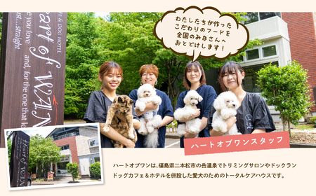 愛犬ごはん （馬肉）　6食セット【ハートオブワン】