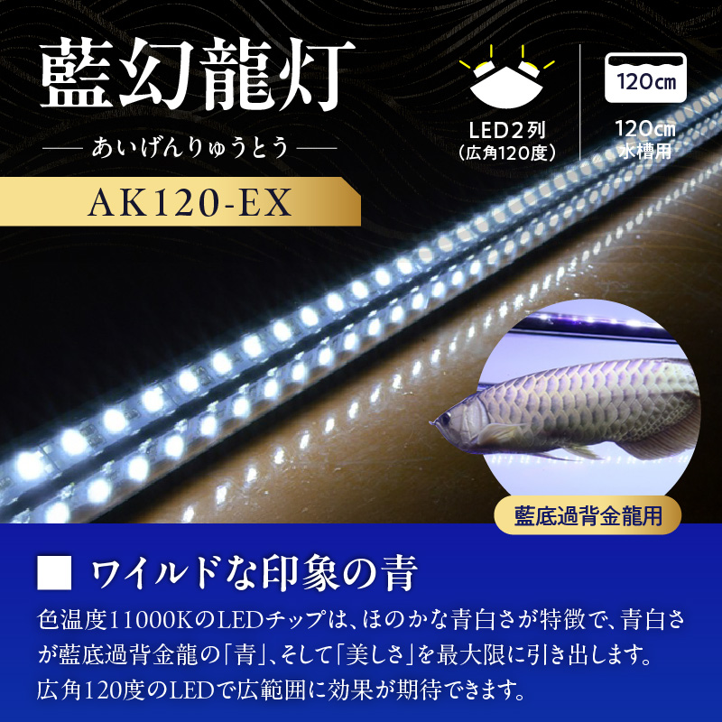 一瞬で綺麗に魅せる!金龍の青を最大限に強調する水中LEDライト|AK120-EX 金龍 専用 ワイルドブルー 青 水中 アロワナ 高輝度 水槽ライト テンニングライト LED ライト 照明 水中照明 光 綺麗 透明感 強化ガラス 吸盤 1年保証 簡単 設置 でんらい インテリア 雑貨 愛知県 小牧市 送料無料