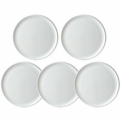 【ふるさと納税】NIKKOの24cmプレート5枚セット「ディスク」《ニッコー食器》(11400-0024-5)【1551795】