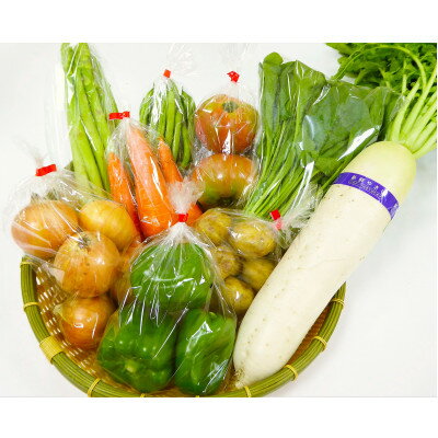 【ふるさと納税】道の駅たかのスタッフ厳選!庄原市産「旬」の野菜詰め合わせ　8～10点【配送不可地域：離島】【1639412】