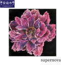 【ふるさと納税】supernova インテリア アート ふるさと納税 絵画