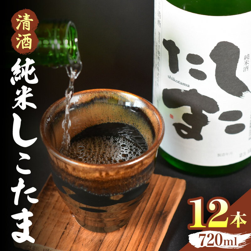 【ふるさと納税】清酒 純米しこたま 12本