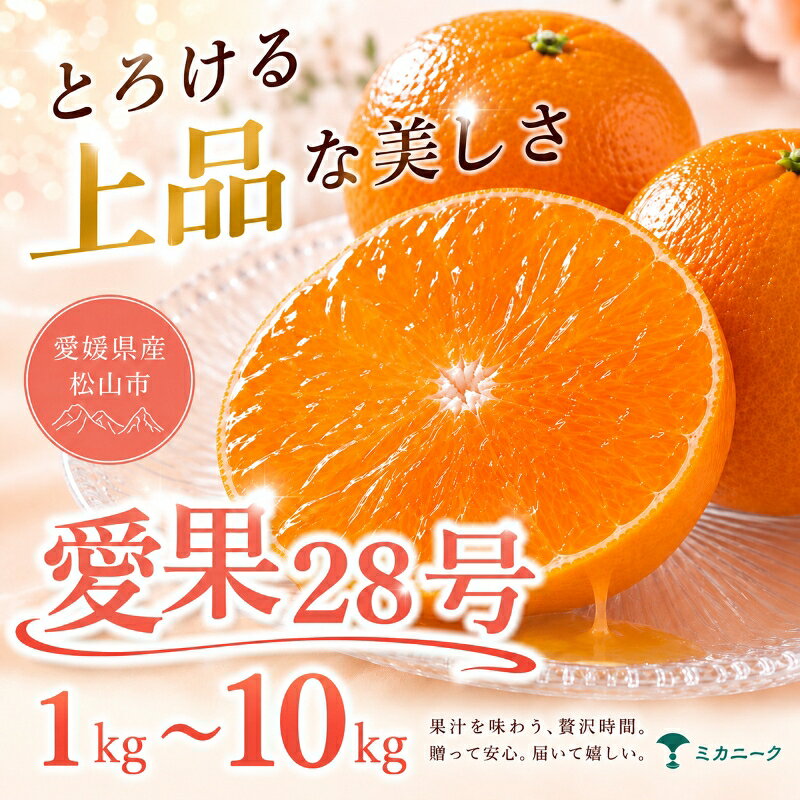 【ふるさと納税】 【数に限りあり】 ゼリー食感 【愛果28号（紅まどんなと同品種）】お試し 1kg ~ 10kg 愛媛県産 【2026年11月下旬頃から順次発送】 | 愛果28号 愛果 みかん あいか ミカン 蜜柑 まどんな マドンナ 訳あり 柑橘 果物 おすすめ 高級 ギフト 愛媛県 松山市