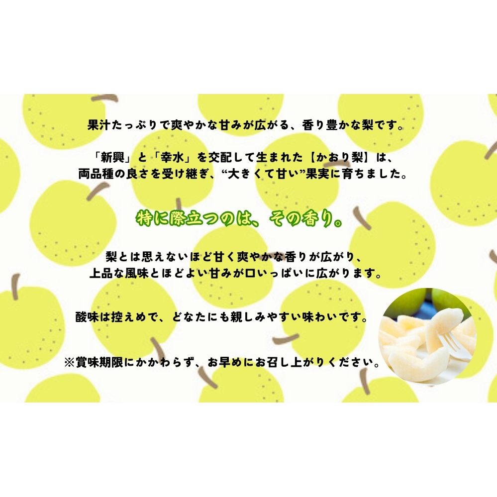 【予約受付中】【9月上旬～中旬より順次発送】【濱田農園】 かおり梨 約5kg 【数量限定】