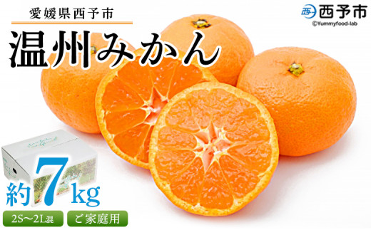 先行予約受付 ＜愛媛県西予市産 温州みかん ご家庭用 約7kg＞ 訳あり わけあり 果物 フルーツ みかん ミカン 蜜柑 オレンジ 柑橘 甘い あまい おいしい 美味しい 食べて応援 特産品 宇都宮物産 愛媛県 西予市【常温】