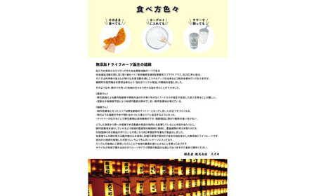 無添加ドライフルーツ(みかん)20g×2袋入【 神奈川県小田原市 】