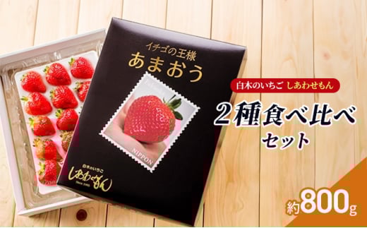 いちご 2種 食べ比べ セット いちご職人 白木のいちご あまおう 化粧箱 1箱 旬のいちご 化粧箱 1箱 イチゴ 苺 果物 デザート ※配送不可：沖縄・離島