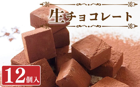 【生チョコ】 チョコレート スイーツ 生チョコ 12個 セット 冷凍 バレンタイン