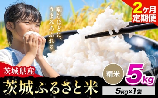 【2か月定期便】米 茨城 ふるさと米 精米 5kg《申込月の翌々月より出荷開始》茨城県 河内町 米 国産 お米 おこめ お弁当 おにぎり