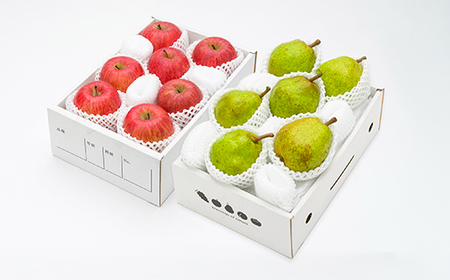 《先行予約》2025年 山形県産 りんご サンふじ 2kg  ラ・フランス 2kg 計4kg 令和7年産 ラフランス リンゴ 林檎 セット ※沖縄・離島への配送不可 ns-rilax4 