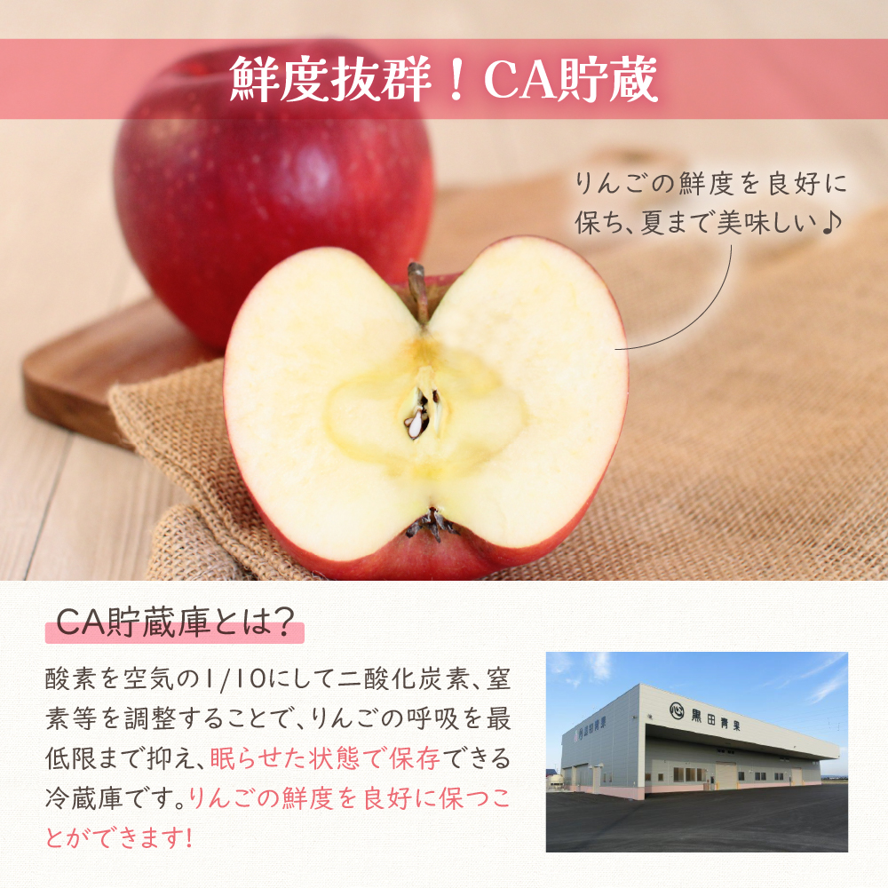 【2025年6月前半発送】 りんご 有袋ふじりんご 約 3kg CA貯蔵 丸福規格 有袋フジりんご 青森 五所川原