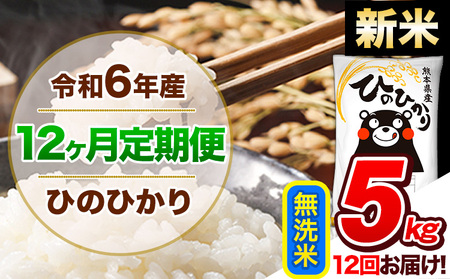 【12ヶ月定期便】令和6年産 新米 定期便 無洗米 ひのひかり 5kg 《申込み翌月から発送》令和6年産 熊本県産｜人気米 熊本県産米 お米 生活応援米