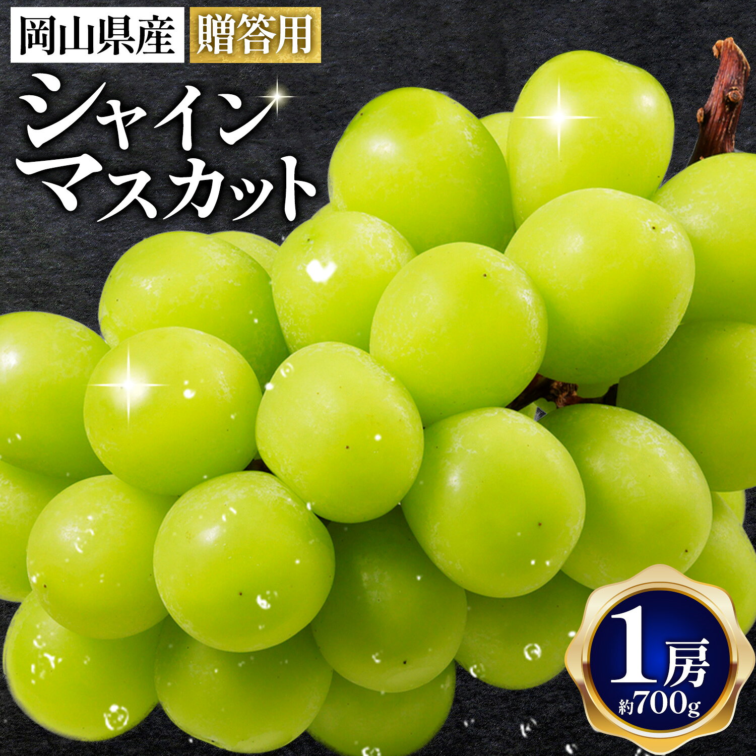 【ふるさと納税】岡山県産 贈答用 シャインマスカット 1房 約600g～約700g程度 せのおや農園《8月中旬-9月下旬頃出荷》岡山県 浅口市 葡萄 ぶどう ブドウ 国産 果物 フルーツ 送料無料