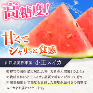 甘くて 果肉 たっぷり！ 大岩 こだま スイカ 2玉 「 神秘の里 大岩郷 よりお届け 長州の紅い宝石 」 先行予約 ＜ 2026年 7月下旬 ～ 8月頃 発送予定 ＞