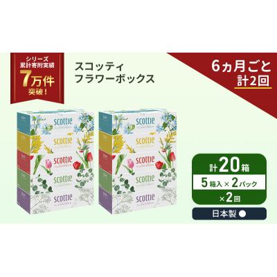 ふるさと納税 岩沼市 定期便 ティッシュ スコッティ  20箱 (5箱×2P)《計2 回》[No.5704-1127] |  | 01