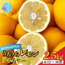 【ふるさと納税】【先行予約】日本海で育ったうちうらレモン「マイヤー2.5kg」皮まで丸ごと食べられます！（農薬不使用）【11月中旬より順次発送】 [A-022038]ビタミン 鮮度 健康 果汁 防腐剤 不使用 レモン ノーワックス フルーツ 果物 くだもの 期間限定 数量限定 送料無料