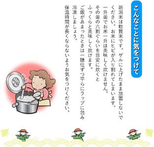 新潟コシヒカリ 令和7年産 精米10kg