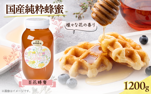 
                  津山市産 百花蜂蜜　1200g_蜂蜜 ハチミツ はちみつ 岡山県産 百花蜂蜜 1200g 百花 蜂 蜜 ハニー 岡山県 津山市 調味料 甘い スイーツ 食品 ヨーグルト パン ホットケーキ 贈答 ギフト プレゼント 国産 常温 送料無料【1605223】
                