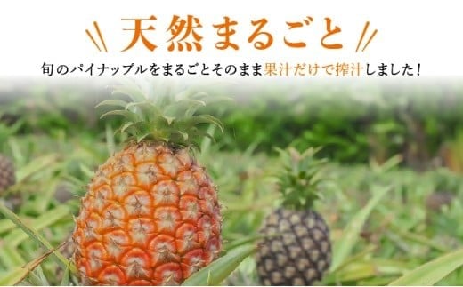 水なし、加熱なし、砂糖なし！天然まるごと！完熟生パイナップル冷凍ピューレ200ml×65本セット