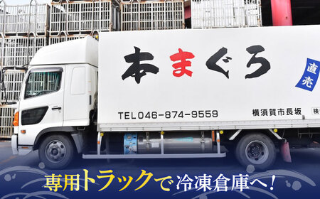 【全6回定期便】まぐろ おまかせバーベキューセット 冷凍3kg【本まぐろ直売所】[AKAK033]