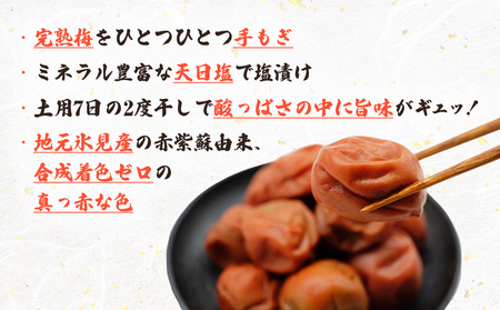 梅干し お米（10kg）付き！　｜　富山県 氷見市 固定種 稲積梅 梅 梅干し 手作り 果実 昔ながら 無添加 酸っぱい 肉厚 お米 セット GI認証 GI登録