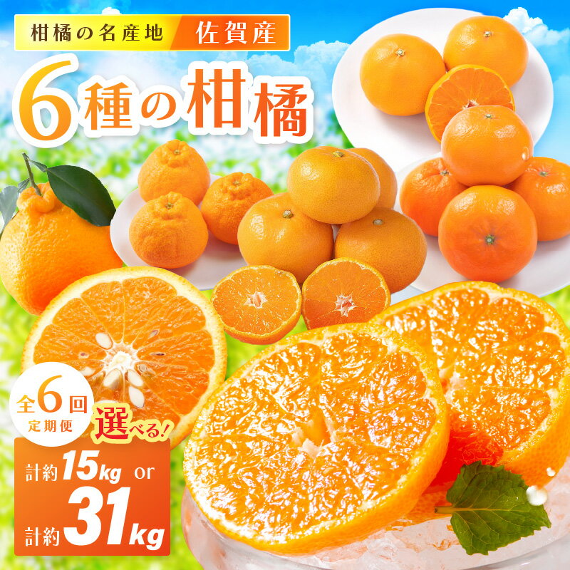 【ふるさと納税】佐賀産 柑橘6種定期便【全6回】＜内容量が選べる／ 彩りセット・満喫セット＞ 【 果物 フルーツ みかん 蜜柑 オレンジ かんきつ 不知火 麗江 ふるさと納税 フルーツ 】