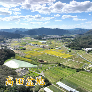 令和6年産 上郡町高田米コシヒカリ 5kg | お米 米 おこめ こめ 白米 こしひかり 精米 ご飯 白飯 5キロ 兵庫県 上郡町