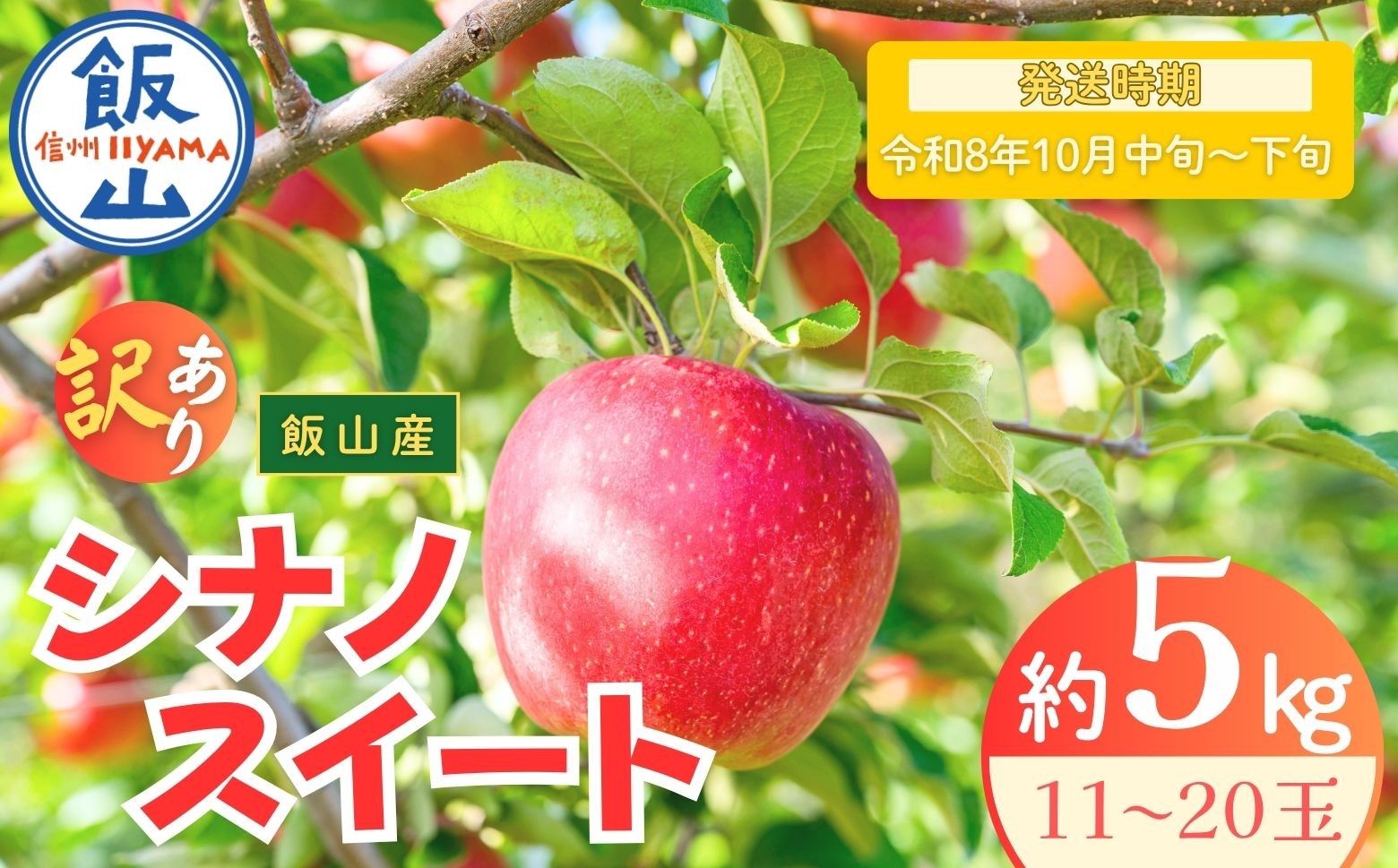 
            【先行予約丨2026年10月中旬より順次発送】訳あり シナノスイート【約5kg(11〜20玉)】(At-021)丨長野県 飯山市 おすすめ ランキング おいしい 高評価 大人気 先取り 産地直送 りんご 訳あり 規格外
          