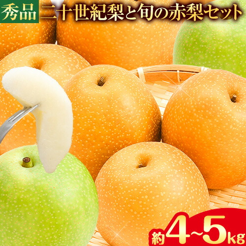 【2026年先行予約】秀品 二十世紀梨と旬の赤梨セット 選べる 約4kg (8～16玉) 約5kg (10～18玉)《2026年8月下旬-10月上旬頃出荷予定》 鳥取県 八頭町 梨 なし ナシ 果物 フルーツ ギフト 先行予約 ふるさと納税 送料無料 甘い 果実 果汁 デザート